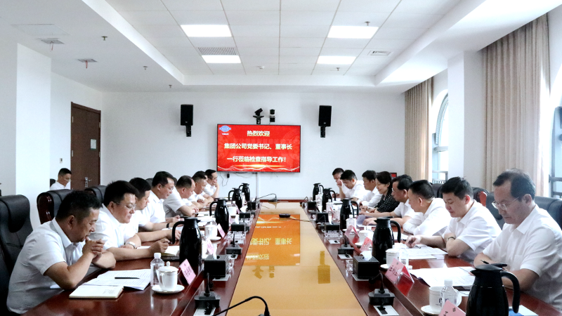 2022年6月，集團公司黨委書記、董事長戴和根一行到公司調研指導工作