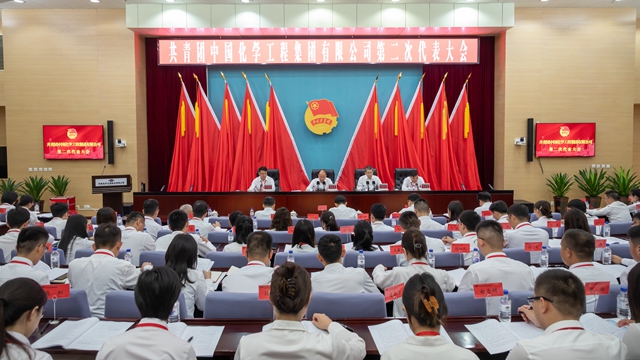 中國化學(xué)第二次團代會勝利召開