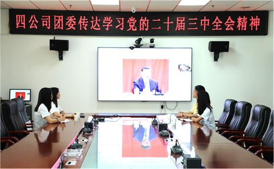 青春向黨 挺膺擔當 | 公司團員青年深入學習貫徹黨的二十屆三中全會精神、集團公司和公司系列重要會議精神