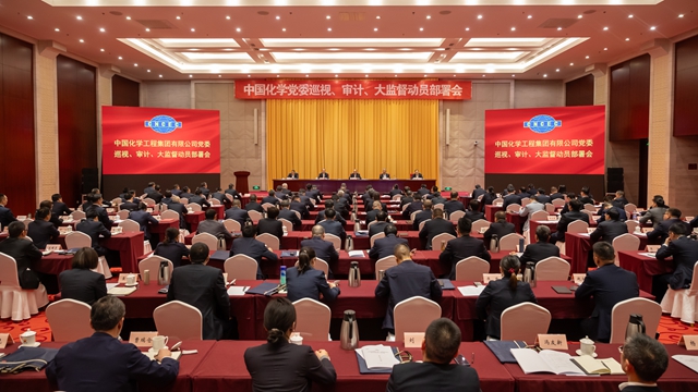 中國化學(xué)黨委召開巡視、審計、大監(jiān)督動員部署會
